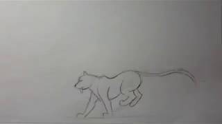 Cel Animation test by CartoonCZ