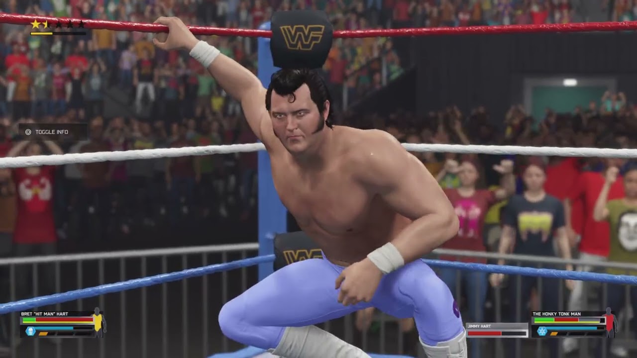 Survivor Series Showdown 90 Bret 