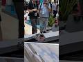China's largest trade show Canton Fair #mamibot #solarpanelcleaning #solarwalker #cantonfair2025