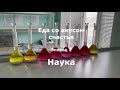 Еда со вкусом счастья.Эпизод 3. Наука