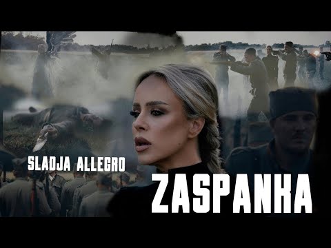 BTS - ZASPANKA (2024)