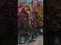 Royal Enfield: The Evergreen Legend 🖤🥀#royalenfield #bike