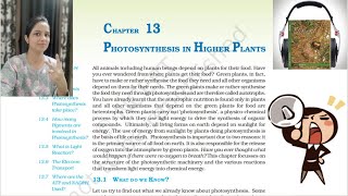 Photosynthesis In Higher Plants Ncert Book  Ncert Class11 Biology Book  Ncert Reading