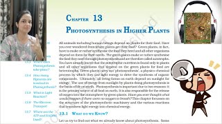 Photosynthesis in Higher Plants NCERT Audiobook | NCERT Class11 Biology Audiobook | NCERT Reading