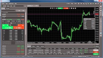 User time offset - cTrader
