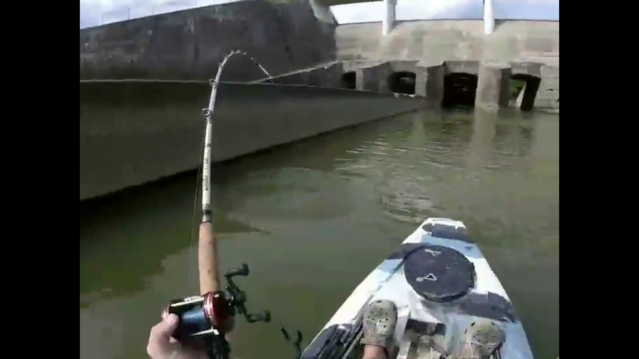 Kayak Flathead Fishing with Warrior Cat Rods YouTube