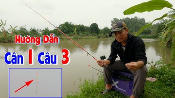 Hướng Dẫn Cân Phao Câu Cá Diếc Hiệu Quả Nhất - Câu Đài Nghiệp Dư