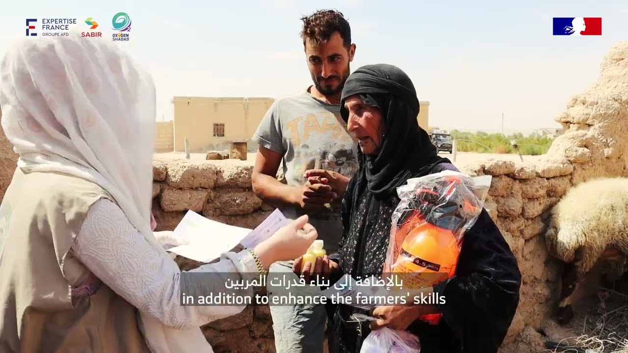 North-East Syria : Supporting livestock breeders through supplies and capacity building