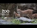 THE ZOO Season 5 Premiere Announcement | Bronx Zoo
