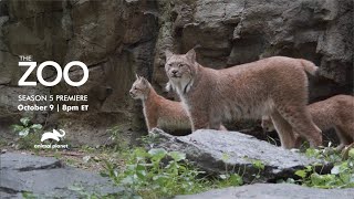 THE ZOO Season 5 Premiere Announcement | Bronx Zoo