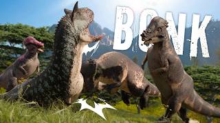 Pachy bonks are rated E for EVERYONE
