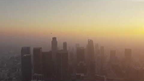 Planting trees to reduce your carbon footprint