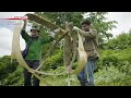 Can tradition inspire a green future?ーNHK WORLD-JAPAN NEWS