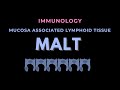 MALT (Mucosa associated Lymphoid Tissue ) | Secondary Lymphoid Organ | Immunology