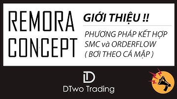 REMORA CONCEPT - PHƯƠNG PHÁP KẾT HỢP SMC VÀ ORDER FLOW BƠI THEO CÁ MẬP