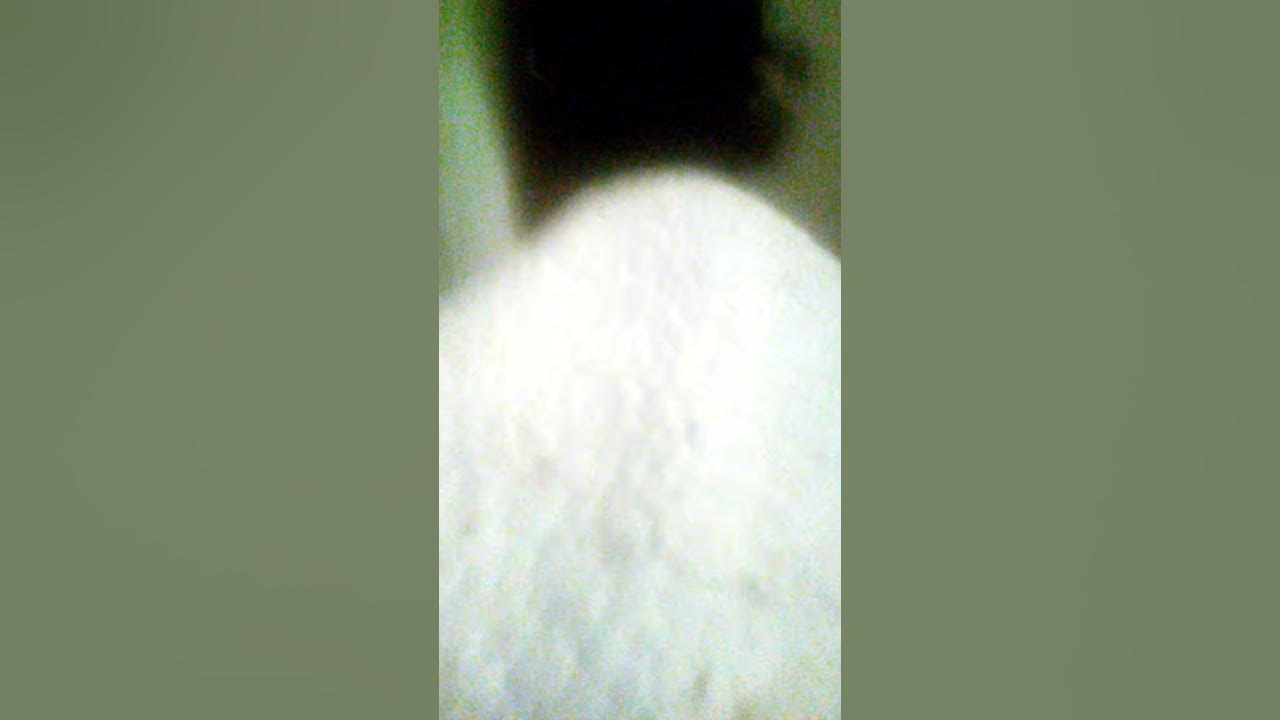 H hunk h njnn o njjnjh uunnnkiniinik - YouTube