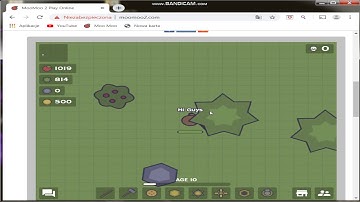 Laggy game MooMoo 2.