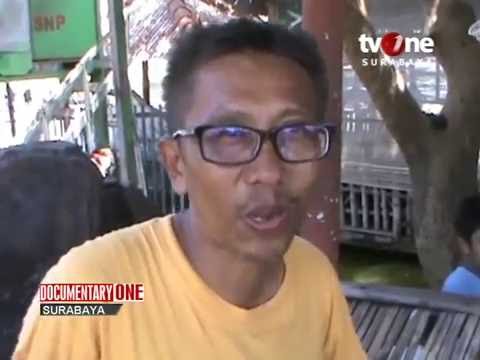 DOCUMENTARY ONE SURABAYA: Desa Kolam Pancing Kalanganyar - tvOne SURABAYA