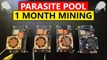 Parasite Pool 1 Month Mining Update