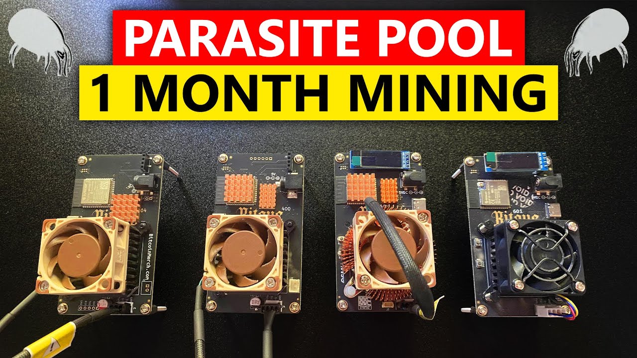 Parasite Pool 1 Month Mining Update