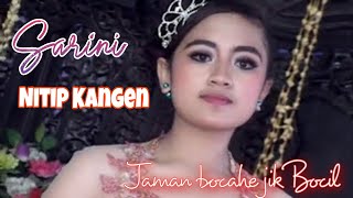 Download Lagu NITIP KANGEN (SARINI MASIH IMuT...) Cs. ADERA - AVS Puhpelem - Raffi Sound MP3