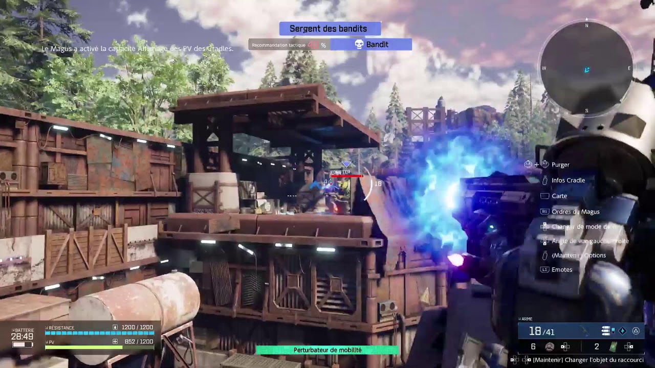 Syndualtity echo of ada