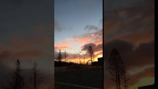 IMG 4305