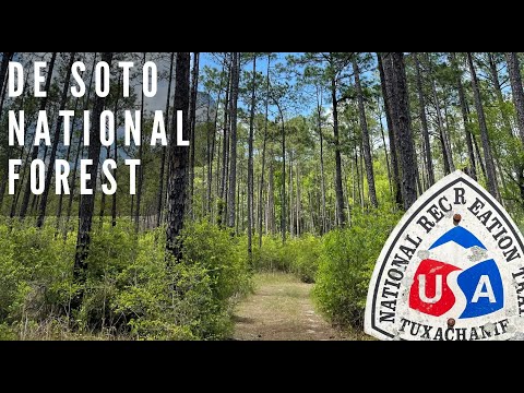 Video: Ang Nangungunang Mga Destinasyon sa Hiking sa Mississippi