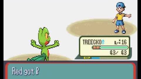 Treecko Evolves into Grovyle Pokemon Ruby