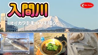 【2023年初動画】フライフィッシングでオイカワ釣りをやってみました。