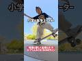 【小学6年生スケーター】岐阜に新しくできたパークにゆーあくんと行って来ました🛹
