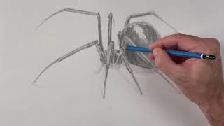 Draw a Black Widow spider in 5 easy steps!