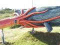 ESCULTURA Cachalote contra calamar gigante Sperm Whale vs Giant Squid