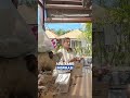 Mengelola Properti dan Memilih Lokasi yang Tepat