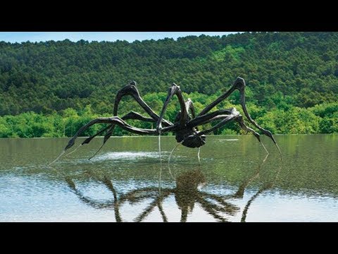 Dünya Üzerinde Bulunmuş En Büyük Örümcekler