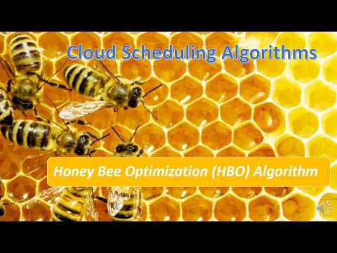 Honey Bee Optimization HBO Algorithm