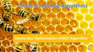 Honey Bee Optimization HBO Algorithm