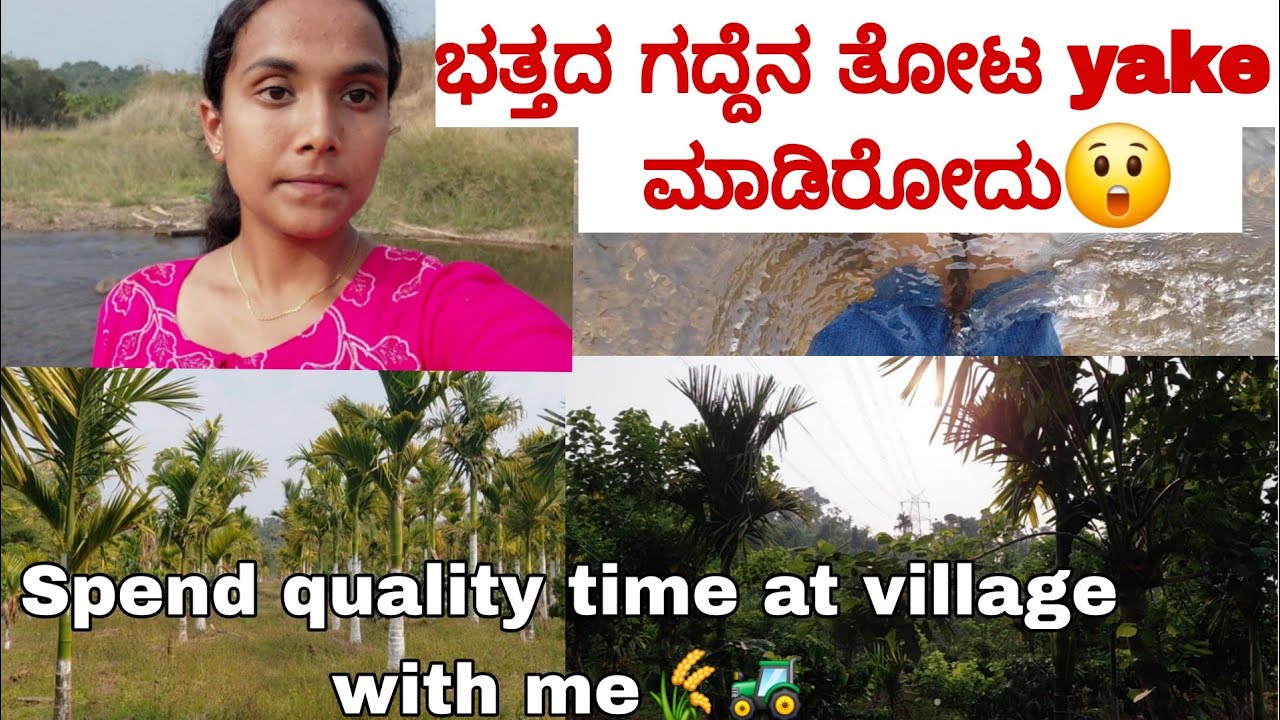 ಭತ್ತದ ಗದ್ದೆ ತೋಟ 🌾 | Peaceful Village Life | Kannada Vlog