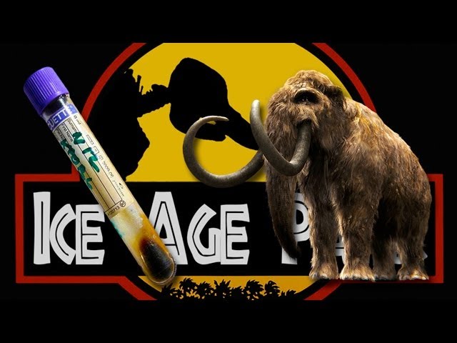 Frozen Mammoth Found With Flowing Blood - YouTube