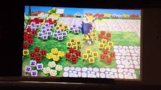 とびだせどうぶつの森 村をレア花だらけにする方法 とびだせどうぶつの森 村をレア花だらけにする方法