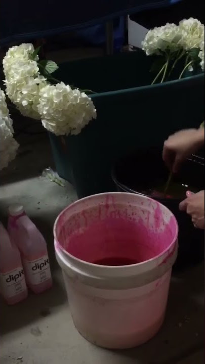 How to: Paint artificial flowers with Spray Paint vs Acrylic Paint 