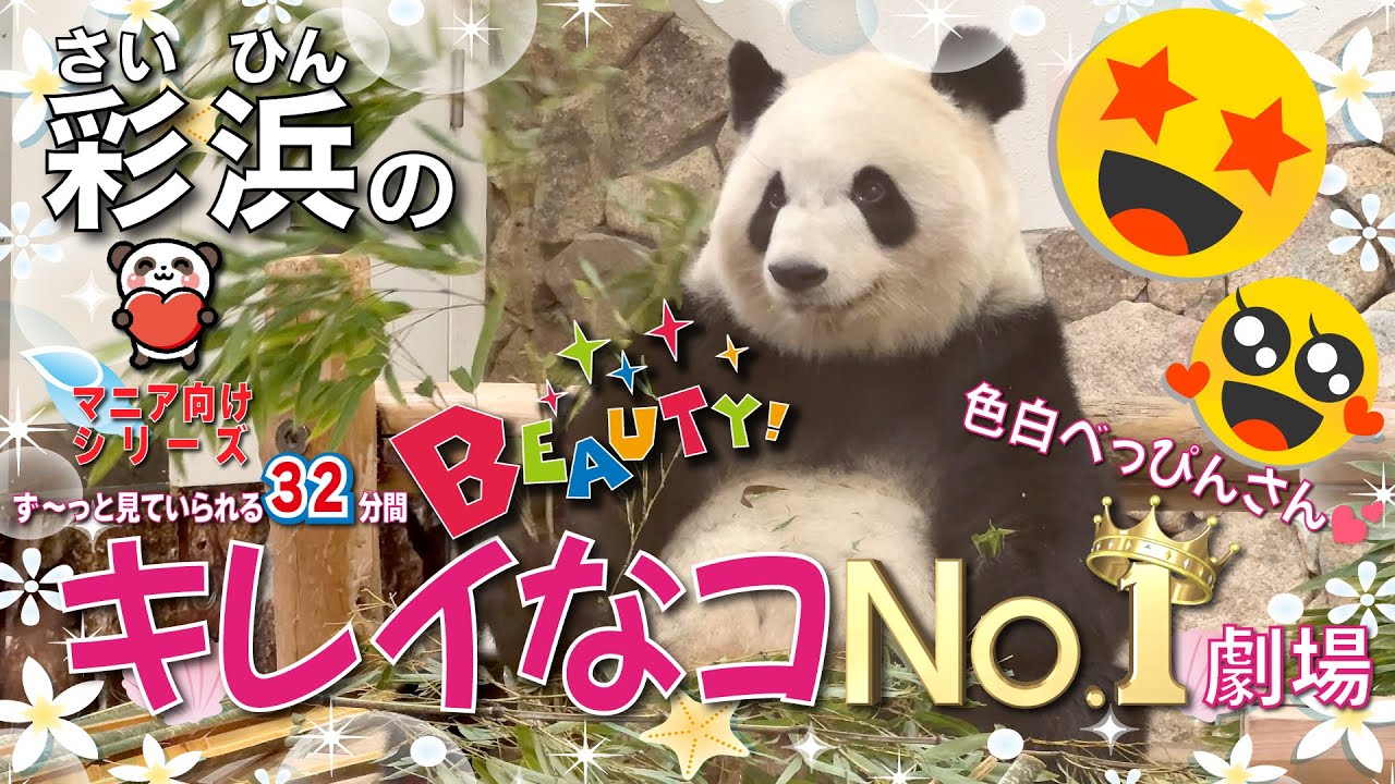 彩浜?（さいひん）ファンに捧ぐ】?マニア向けシリーズ?今、一番 