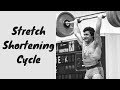 The Jerk: Optimizing the Stretch Shortening Cycle