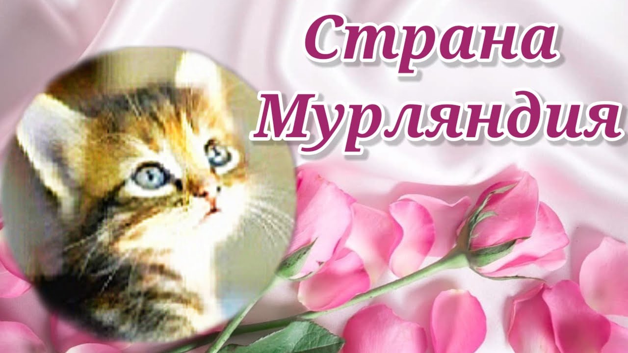 Машина карена адамяна Машина карена адамяна