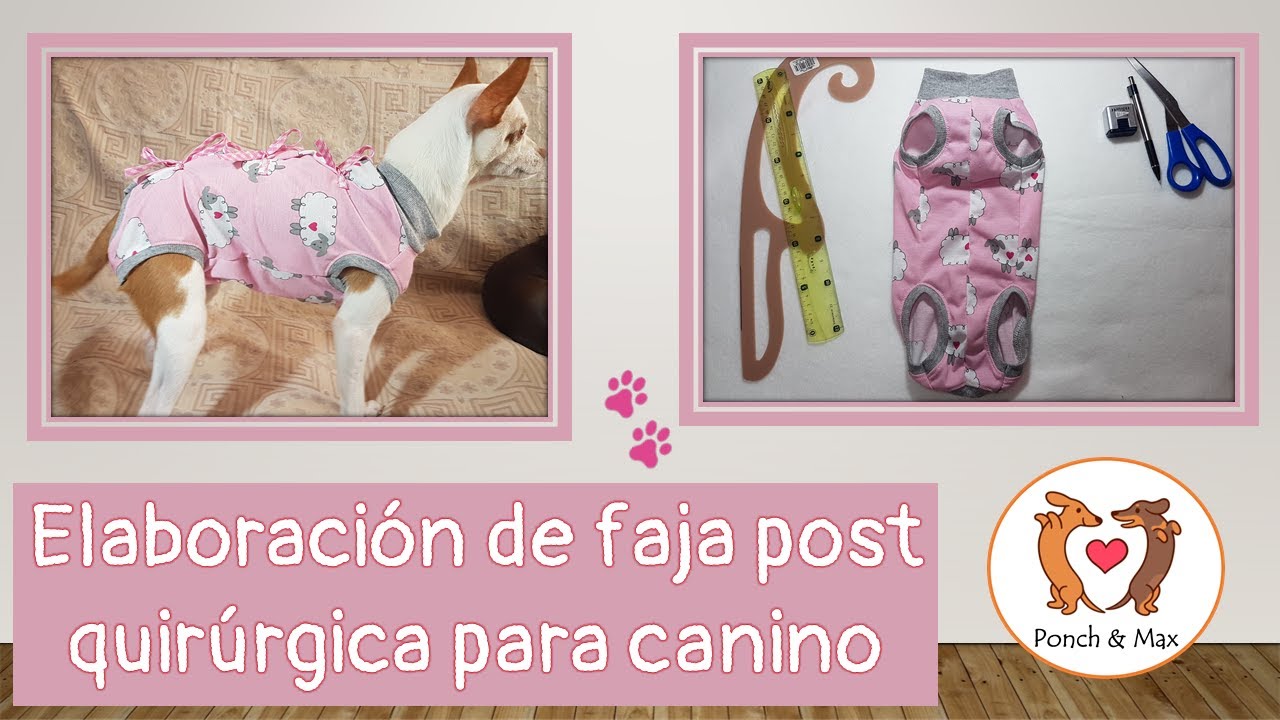 DIY 🐶 Elaboración de faja post quirúrgica para caninos📌 🥰 Ropa para perros y mascotas ❤❤❤