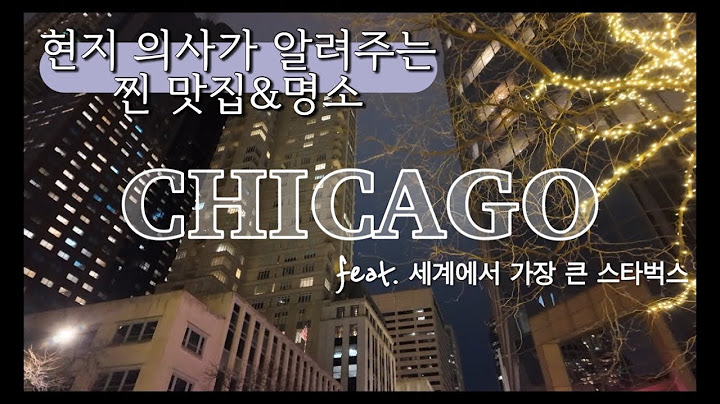 🇺🇸미국 시카고 여행 vlog | 찐 현지인 친구 추천 | 세계에서 가장 큰 스타벅스, 위커파크, 미시간 에비뉴