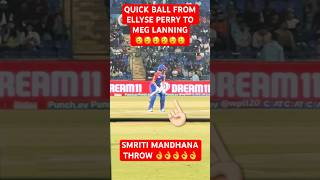 Famous ELLYSE PERRY & MEG LANNING 🫨🫨!#cricket #viral #trending #rcb #wpl #ipl #shorts #perry Wealth