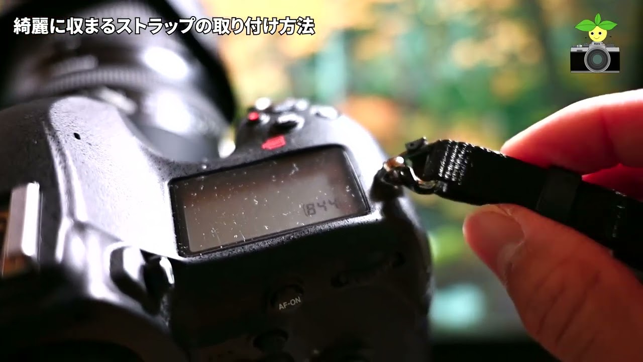 Nikon 古い一眼レフを購入した【初心者のための動画】D7000