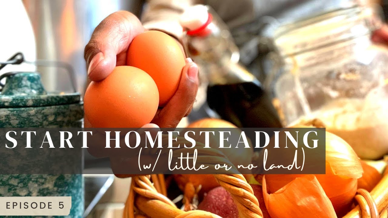 How to Homestead with little or NO Land | Start Urban Farming and Learn ...