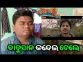 Pabar film showcase reaction  odia film  babushan mohanty